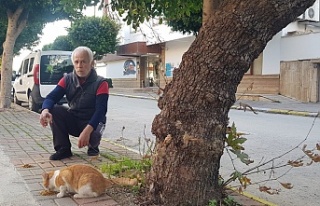 Alanya’da bisikletiyle sokak sokak dolaşıp kedileri...