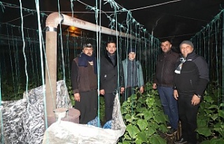 Toklu Alanyalı üreticiyi yalnız bırakmadı