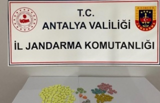 Alanya’da Narkotik baskın!