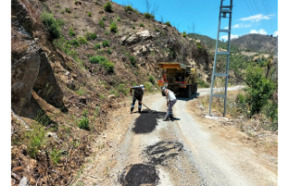 Alanya yayla yollarında yoğun mesai!