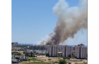 Antalya'da orman yangını!