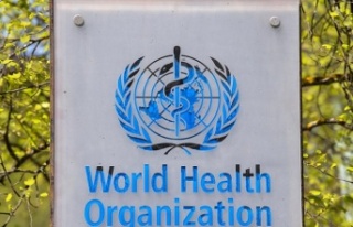 Dünya Sağlık Örgütü, maymun çiçeği salgını...