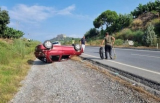 Alanya'da feci kaza: 1 yaralı, 1 köpek telef...