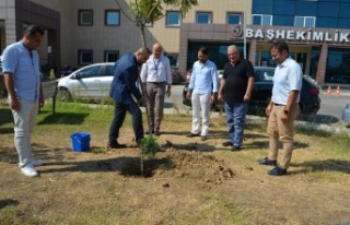 Alanya’da iyileşen hastalar adına zeytin ağacı...