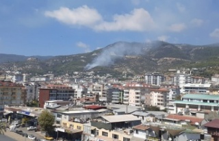 Alanya’da ormanlık alanda yangın çıktı!