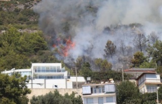 Alanya’da ormanlık alanda çıkan yangın söndürüldü