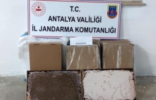 Alanya'da bir yolcu otobüsünde 36 bin adet...