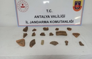 Jandarmadan kaçak kazıya suçüstü: 2 gözaltı