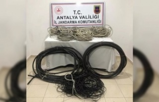 Alanya’da kablo hırsızları tutuklandı!