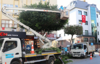 ALANYA BELEDİYESİ KIŞLIK BAKIM ÇALIŞMALARINA...