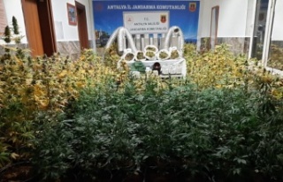 Kiralık evde uyuşturucu laboratuvarına jandarma...