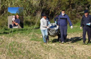 Cansız bedeni ağaçta asılı halde bulundu!