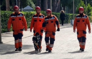 Depremzede köpek ‘Hayat’, yeni hayatlar kurtaracak