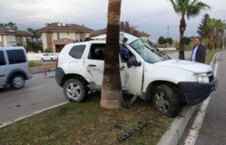 Palmiyeye ağacına çarpan sürücü yaralandı!