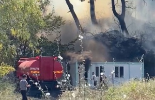 Konteyner da başlayan yangın ormana sıçradı