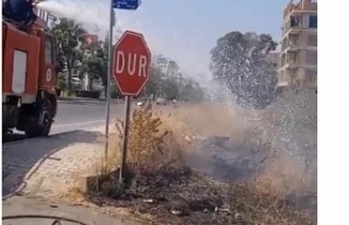 Gazipaşa’da otluk yangını söndürüldü