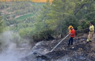 orman yangını havadan ve karadan yapılan müdahale...