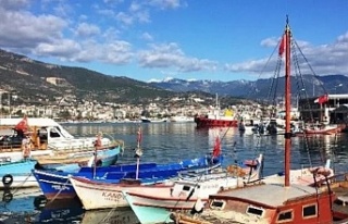 Alanya Balıkçı Barınağı’nda İhale Bekleyişi...