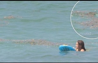 ASAT, Alanya sahilleri temiz dedi!