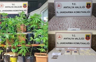 Alanya’da jandarma uyuşturucu satıcılarına göz...