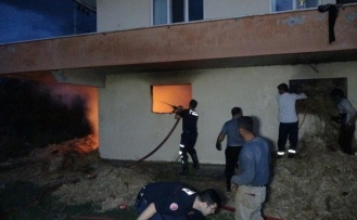 Samanlıktaki yangın itfaiye ekiplerine zorlu anlar yaşattı!