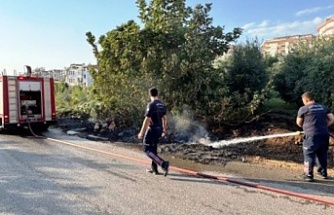 Alanya’da çalılık yangını korkuttu!