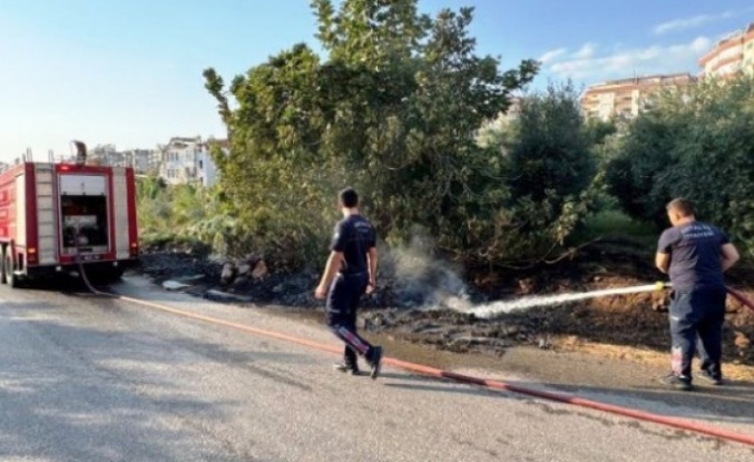 Alanya’da çalılık yangını korkuttu!