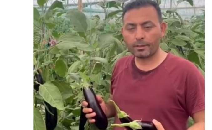 Alanya'da halcinin 'Çöplük' ifadesine Ziraat Odası'ndan jet yanıt